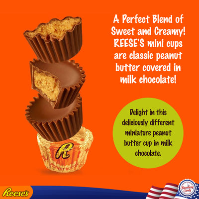 BULK Reese's Peanut Butter Milk Chocolate Miniature Cups 1kg Bag